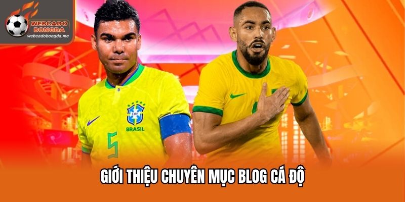 Blog cá độ cập nhật mọi thông tin thể thao hay nhất
