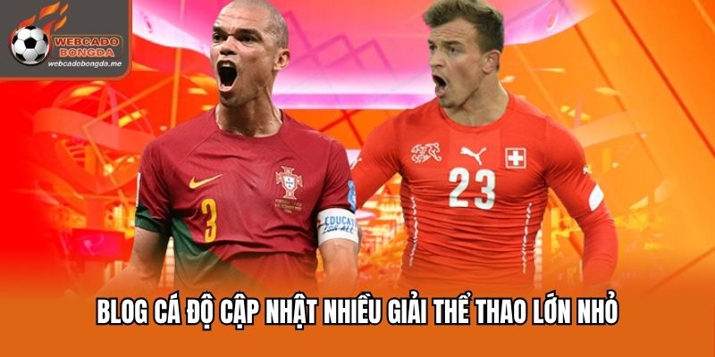 Cập nhật liên tục nhiều giải đấu trên thế giới mỗi ngày