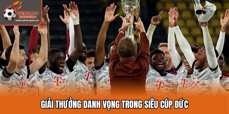 Giải thưởng danh vọng trong siêu cúp Đức