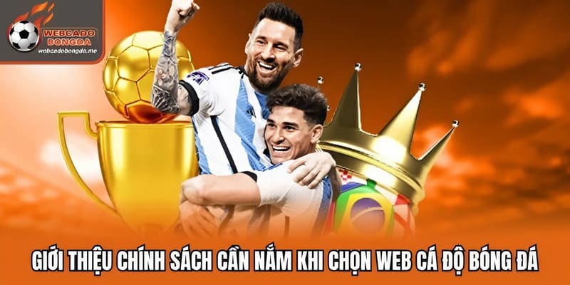 Giới thiệu chính sách cần nắm khi chọn web cá độ bóng đá