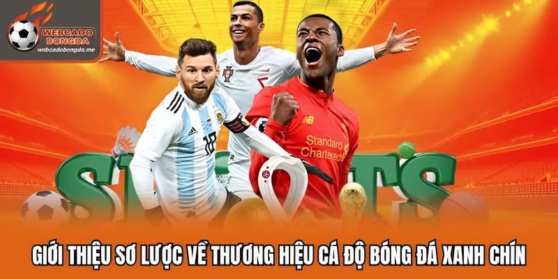 Giới thiệu sơ lược về thương hiệu cá độ bóng đá xanh chín