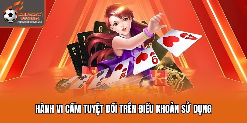 Hành vi cấm tuyệt đối trên điều khoản sử dụng