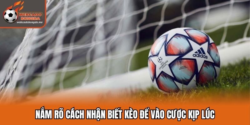 Nắm rõ cách nhận biết kèo để vào cược kịp lúc