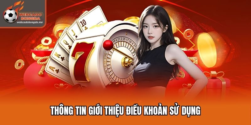 Thông tin giới thiệu điều khoản sử dụng
