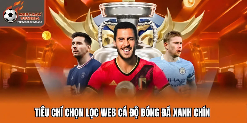 Tiêu chí chọn lọc web cá độ bóng đá xanh chín