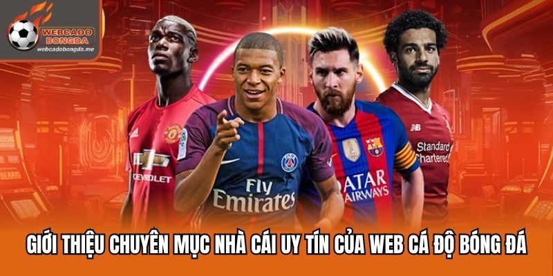 Website chúng tôi chuyên phân tích nhà cái uy tín
