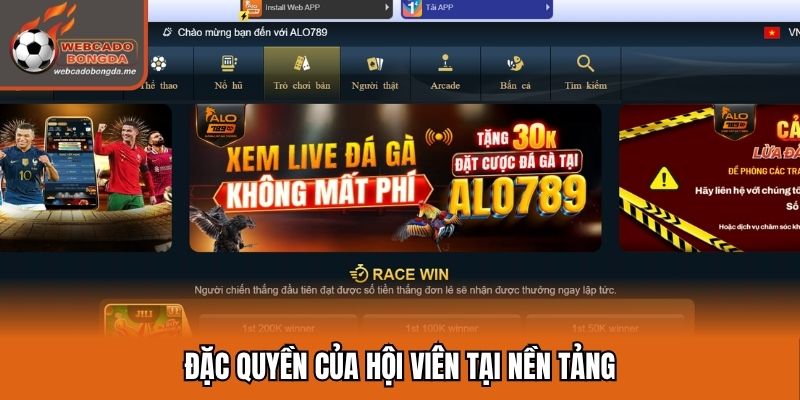Đặc quyền của hội viên tại nền tảng