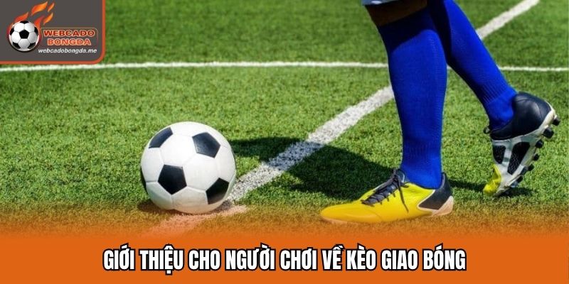 Giới thiệu cho người chơi về kèo giao bóng