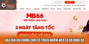 MB66 Có Thực Sự Uy Tín Để Chơi Cá Cược Thể Thao Online