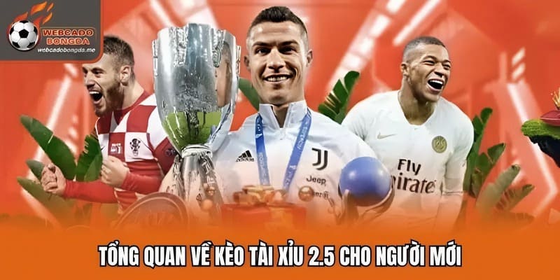 Tổng quan về kèo tài xỉu 2.5 cho người mới