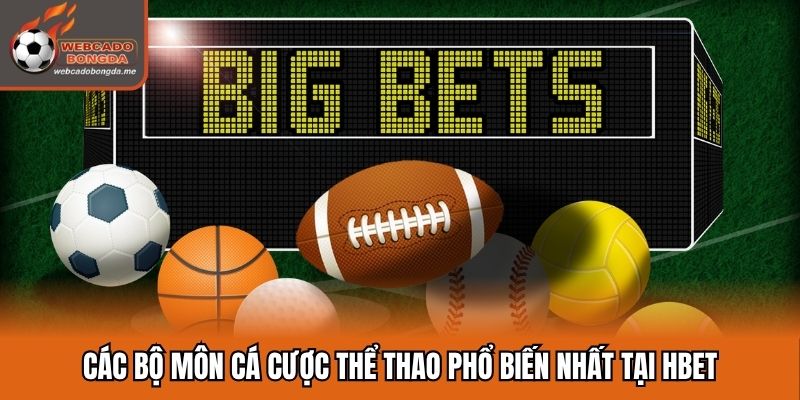 Các bộ môn cá cược thể thao phổ biến nhất tại Hbet
